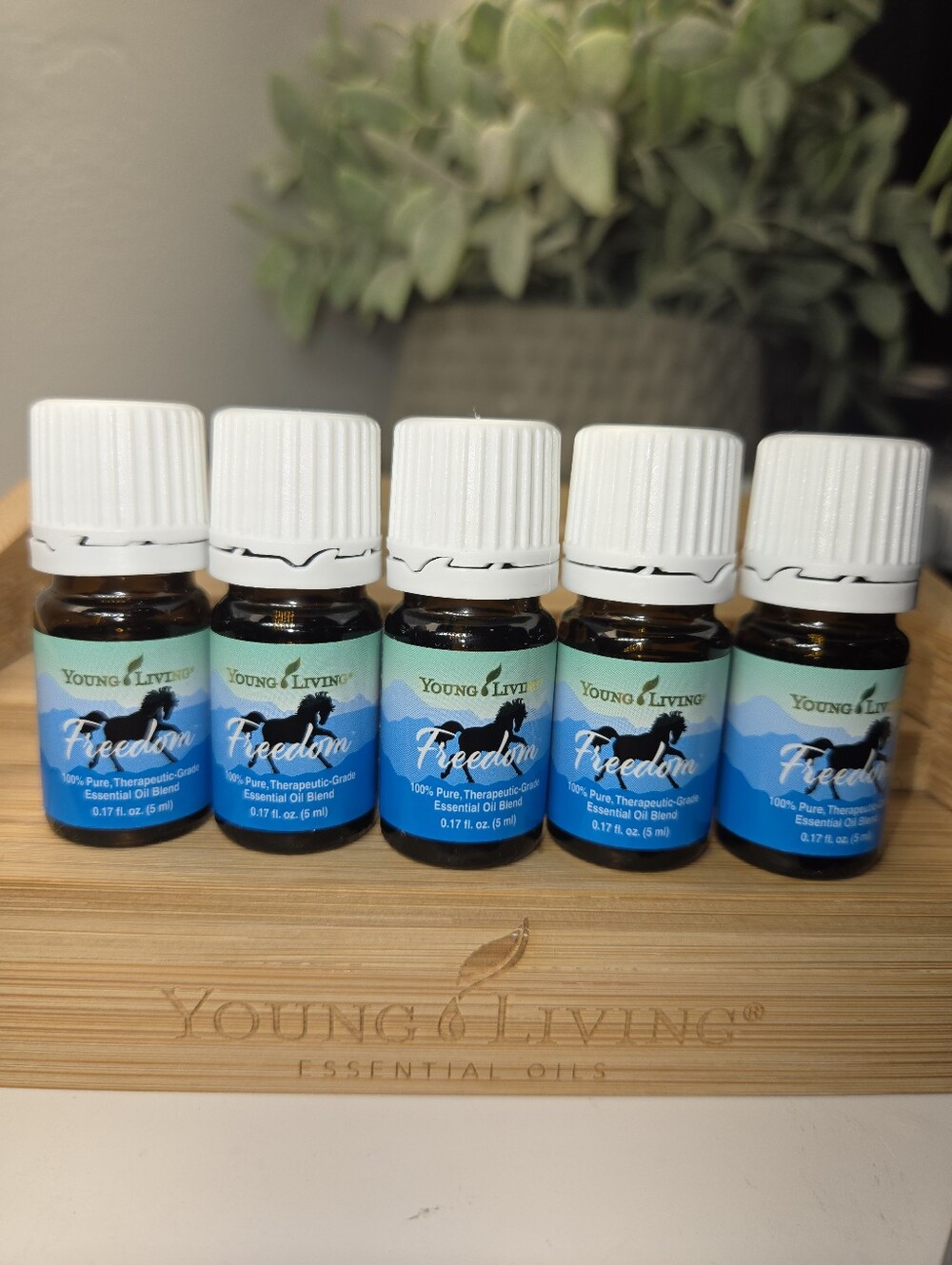 5 Young‎ Living Freedom Essential Oil Bottles